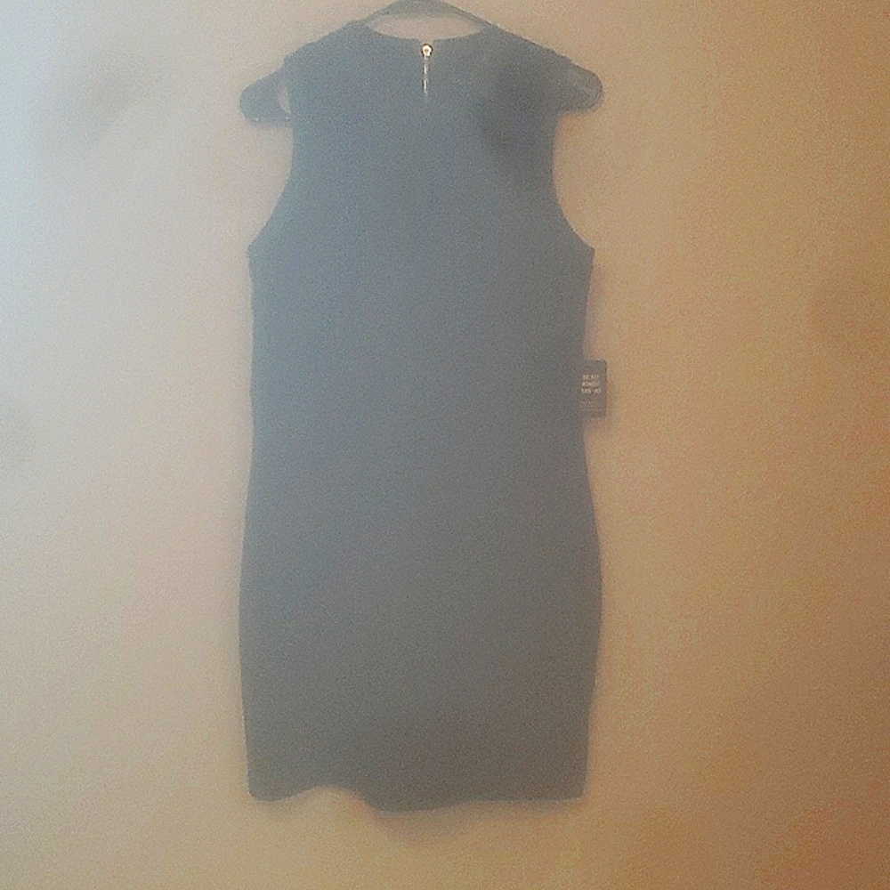 Womens Sleeveless Black dress NWT L